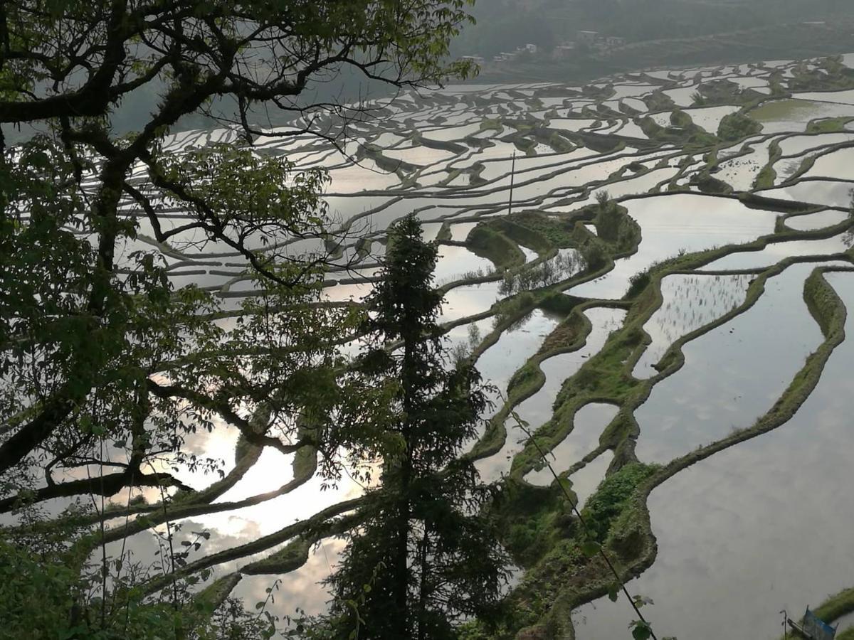 Отель 多依湾客栈havre De Paix Duoyiwan Юаньян Экстерьер фото
